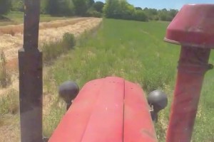 年纪轻轻赚万美金退休！大博班清早起来怒耕二亩地朴实无华